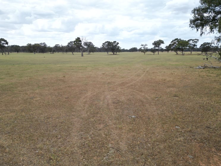 9366 Durham Road Cornishtown VIC 3683 - Image 2