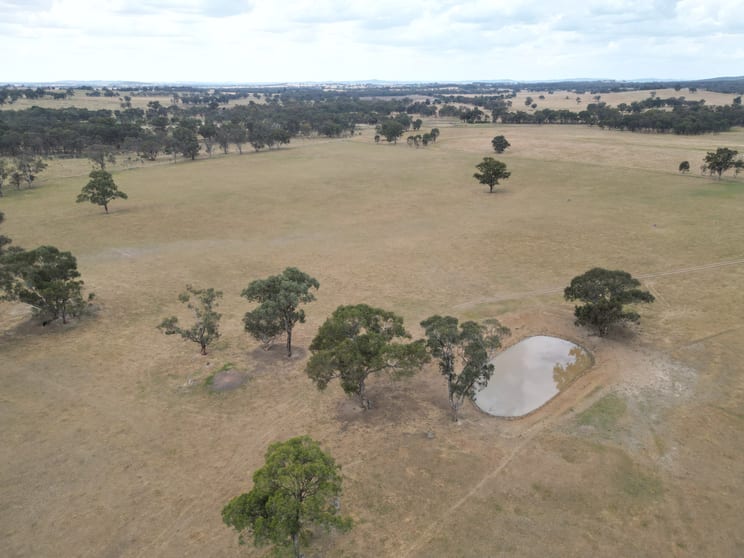 9366 Durham Road Cornishtown VIC 3683 - Image 3