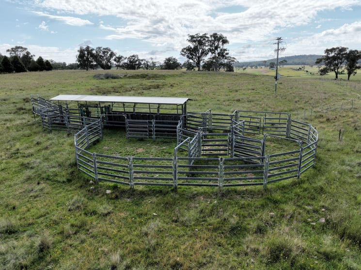 Click to view all images 1028 Emmaville Road Yarrowford NSW 2370 - Image 3
