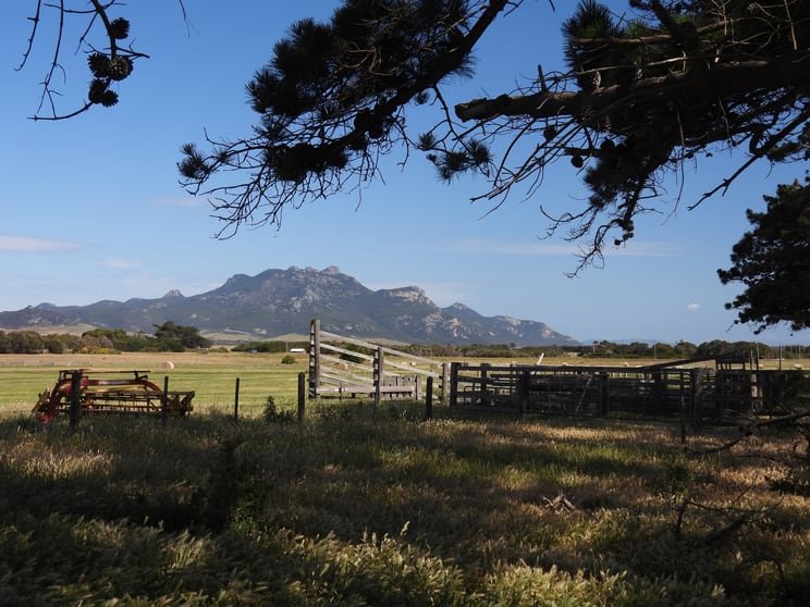 Click to view all images PID 6428956 Thule Road Whitemark TAS 7255 - Image 1