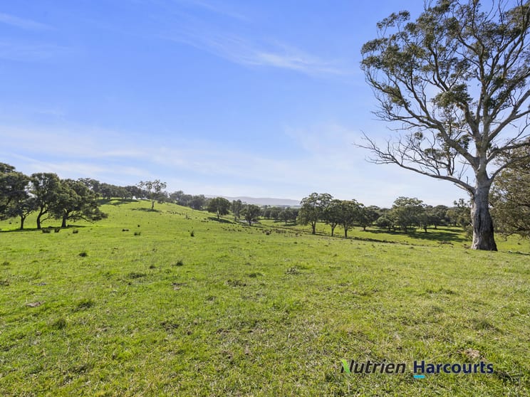 Click to view all images 410 Guymers Road Homewood VIC 3717 - Image 2