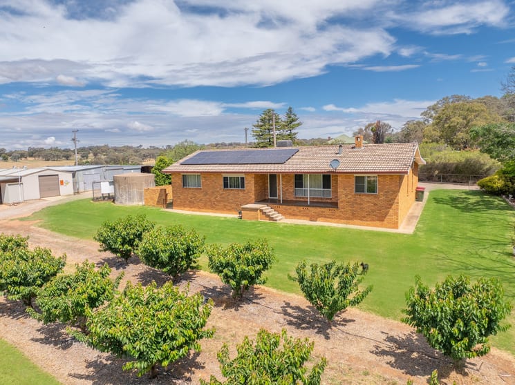 Click to view all images 1146 Kingsvale Road Young NSW 2594 - Image 1