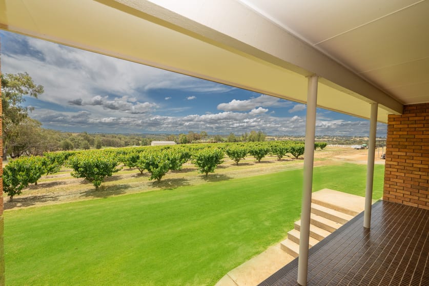 Click to view all images 1146 Kingsvale Road Young NSW 2594 - Image 2