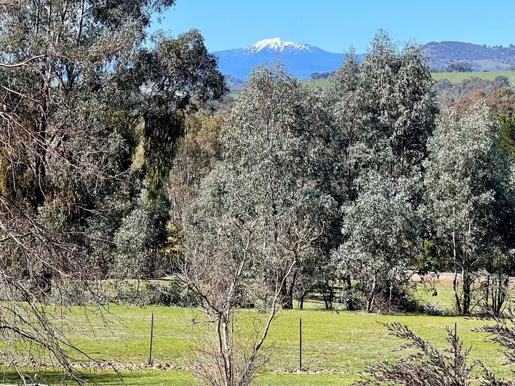 110 Ford Drive Mansfield VIC 3722 - Image 2