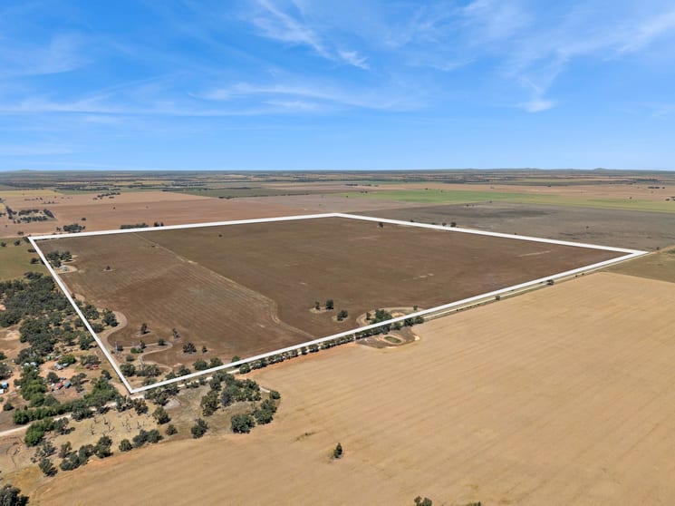 Click to view all images "Gordons" Cnr Sims & Crossman Roads Mitiamo VIC 3573 - Image 3