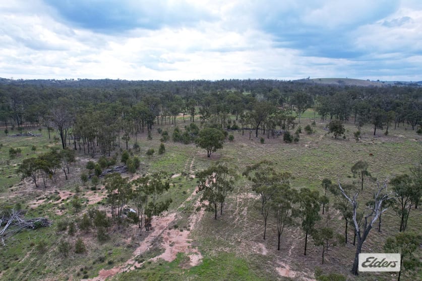 Click to view all images 142 Reedy Creek Road Thanes Creek QLD 4370 - Image 3