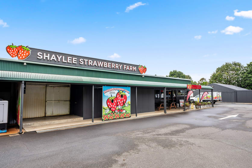 Click to view all images 255 Marks Lane Atherton QLD 4883 - Image 2