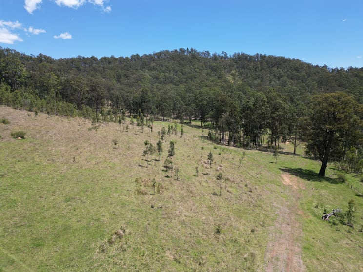 Lot 44 via Endless Creek Road, Chambigne Grafton NSW 2460 - Image 3