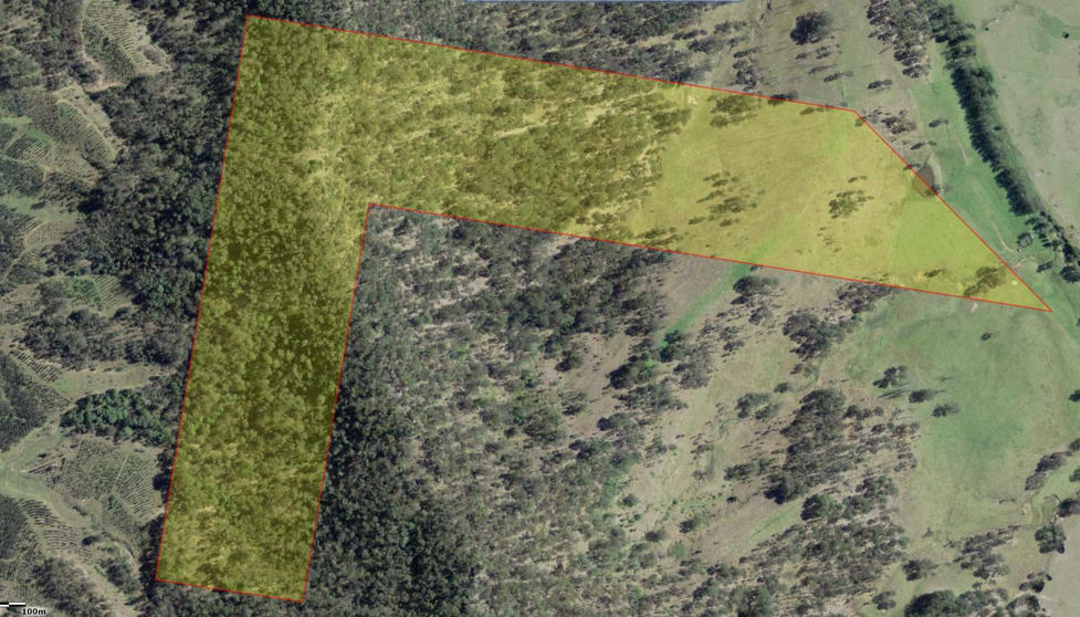 Lot 44 via Endless Creek Road, Chambigne Grafton NSW 2460 - Image 2