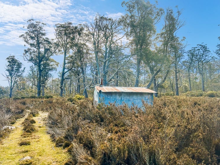 Click to view all images 331L Arthurs Lake Road Arthurs Lake TAS 7030 - Image 3