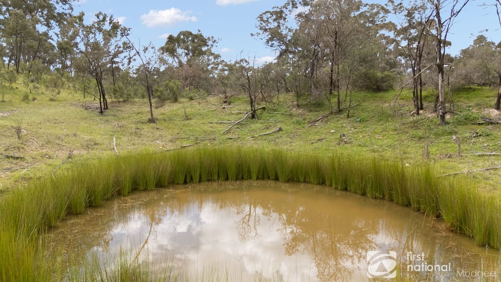 Click to view all images 1046 Bocoble Road Mudgee NSW 2850 - Image 3