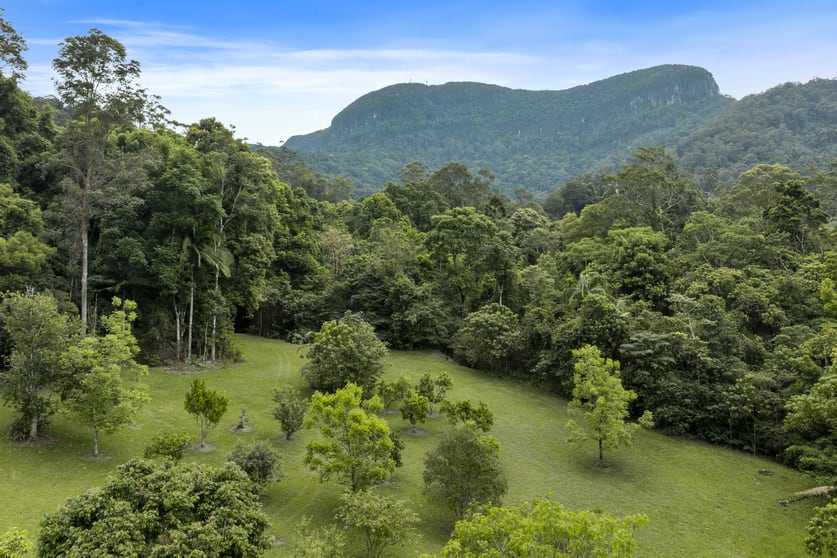 Click to view all images 192 Booka Road Upper Crystal Creek NSW 2484 - Image 3