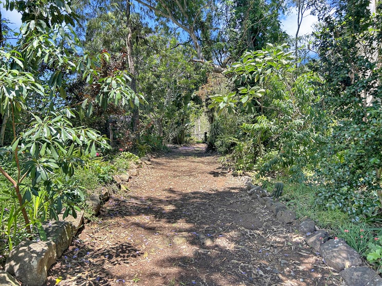 Click to view all images 10547 Clarence Way Tabulam NSW 2469 - Image 1