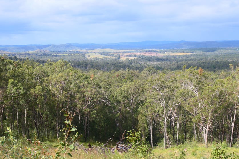 Click to view all images 83/412 Bruxner Road Drake NSW 2469 - Image 1