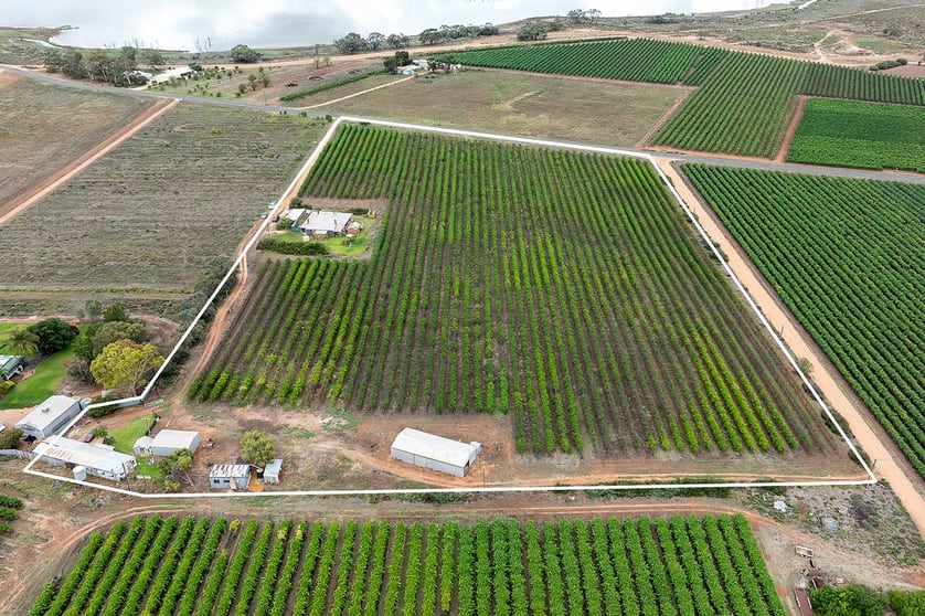138 Lower Winkie Road Glossop SA 5344 - Image 3