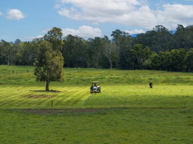 639E Coolangatta Road Berry NSW 2535 - Image 2
