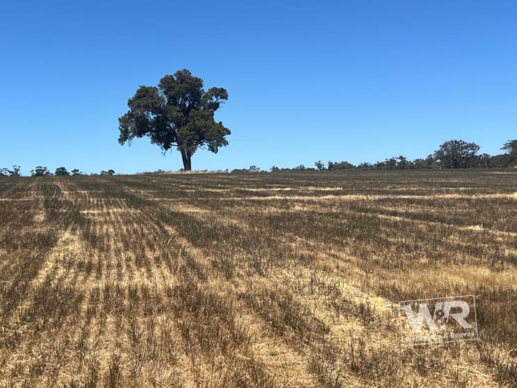 Click to view all images Lot 224 Albany Highway Mount Barker WA 6324 - Image 2