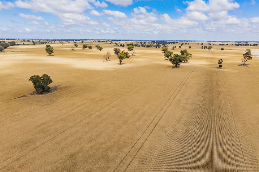 Click to view all images 1757 Berrigan Road Berrigan NSW 2712 - Image 2