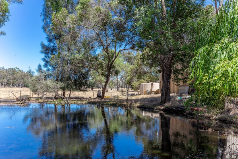 Click to view all images 27 Powell Road Baldivis WA 6171 - Image 2