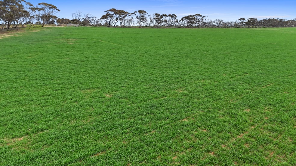 135 Chilton Scrub Road Langhorne Creek SA 5255 - Image 2