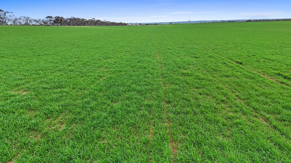 135 Chilton Scrub Road Langhorne Creek SA 5255 - Image 3