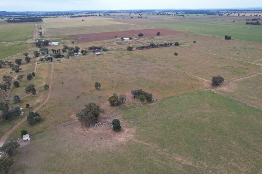 "Sunnyvale" 120 Pouts Road Forbes NSW 2871 - Image 1