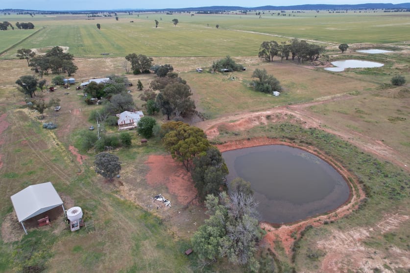 "Sunnyvale" 120 Pouts Road Forbes NSW 2871 - Image 3