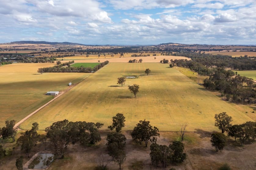 Click to view all images Lot 13 99 Walla Cemetery Lane Walla Walla NSW 2659 - Image 2