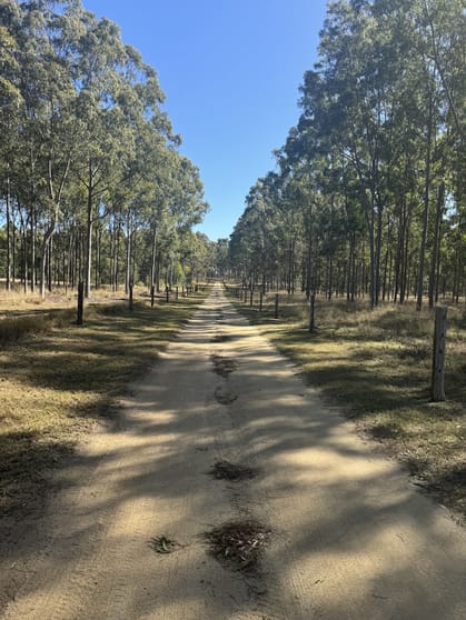 Click to view all images 598 Recreation Drive Wooroolin QLD 4608 - Image 2