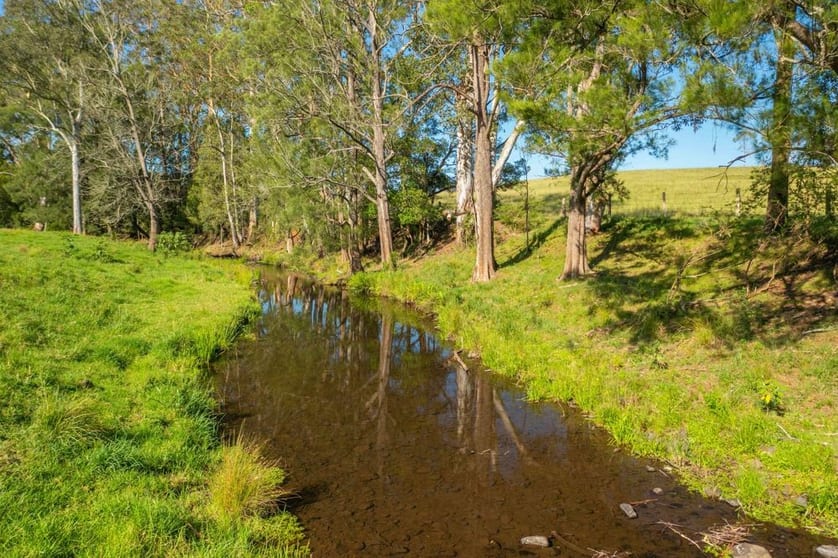 Click to view all images 785 Toms Creek Road Ellenborough NSW 2446 - Image 3