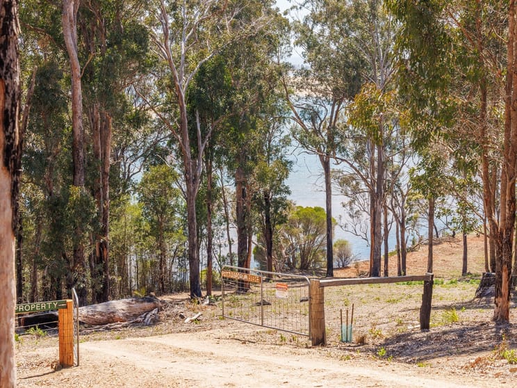Lot 6 'Pittosporum Place', Boyd Road Kiah Via Eden NSW 2551 - Image 2