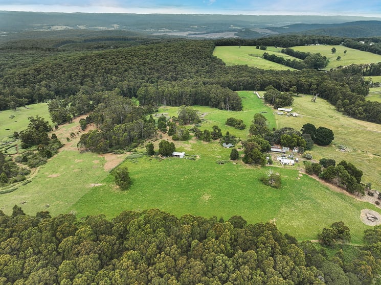 765 Colac-Lavers Hill Road Barongarook VIC 3249 - Image 2