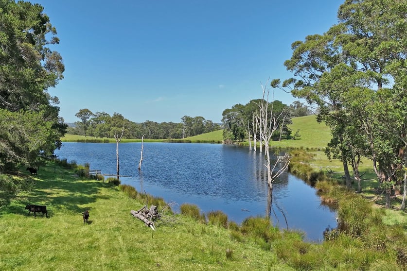 Click to view all images 310 Jarrahmond Road Jarrahmond VIC 3888 - Image 3