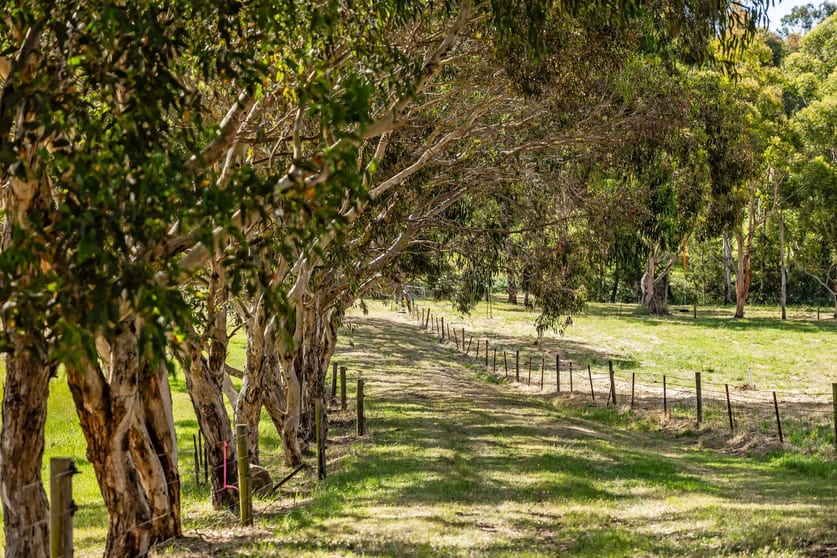 140 River Road Hahndorf SA 5245 - Image 3