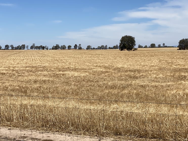 Click to view all images Banyena VIC 3388 - Image 2