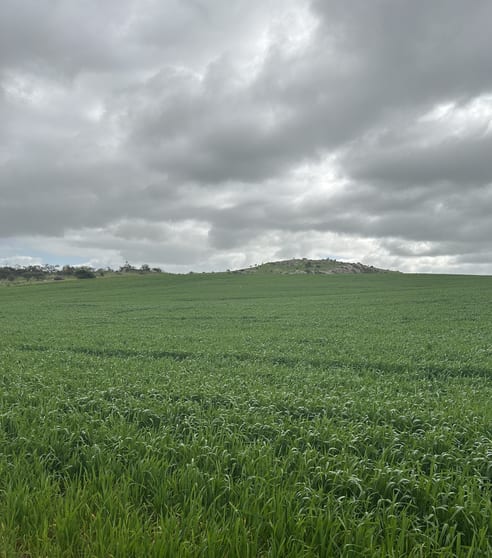 Click to view all images Lot 65 Forrester Road Mount Erin WA 6532 - Image 2