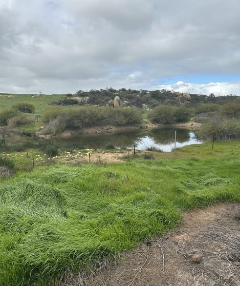 Click to view all images Lot 65 Forrester Road Mount Erin WA 6532 - Image 3