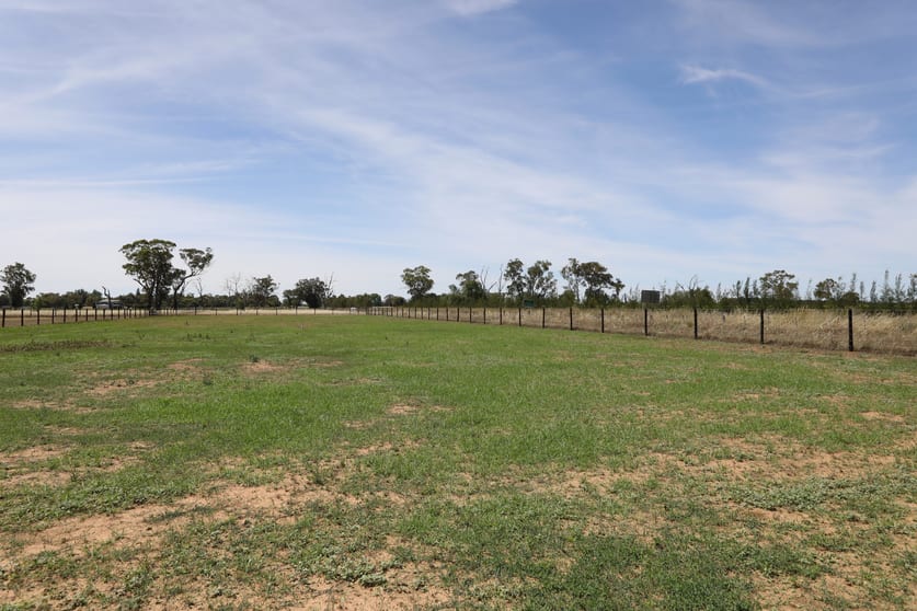 Click to view all images Lot 2 Benalla-Tocumwal Road Muckatah VIC 3644 - Image 2