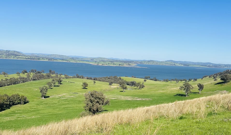 . Hore Road Bowna NSW 2644 - Image 2
