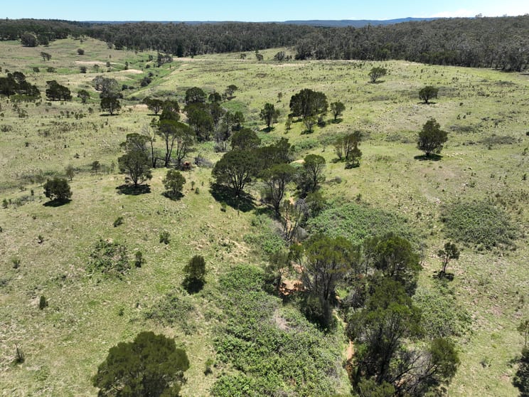 245 Burden Drive Oallen NSW 2622 - Image 3