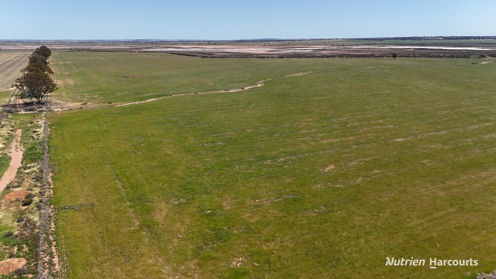 Click to view all images . Doodlakine South Road South Doodlakine WA 6411 - Image 3