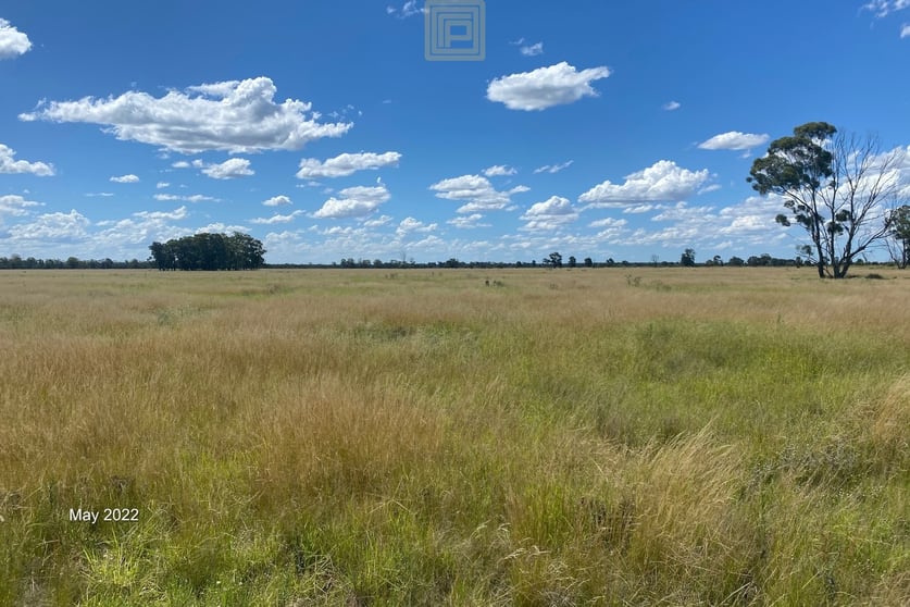 1688 Forest Way Wee Waa NSW 2388 - Image 1