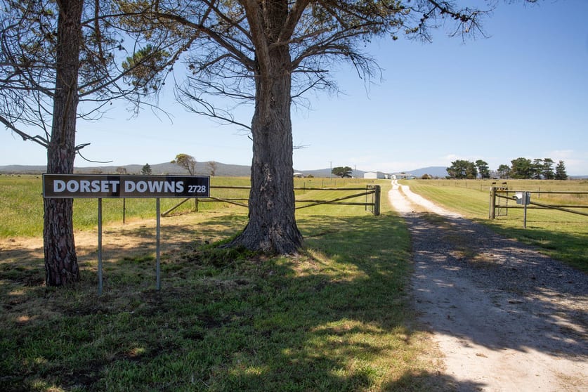 Click to view all images 2728 Waterhouse Road Waterhouse TAS 7262 - Image 3