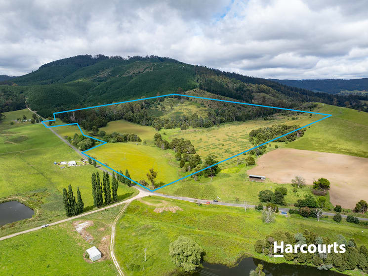 Click to view all images Lot 1 South Springfield Road Springfield TAS 7260 - Image 1