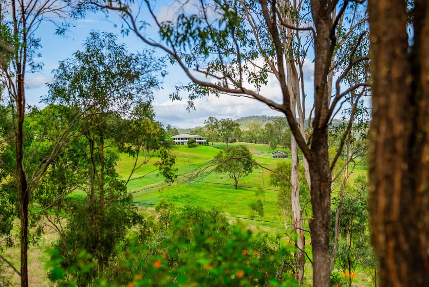 539 Oaky Creek Road Oaky Creek QLD 4285 - Image 1