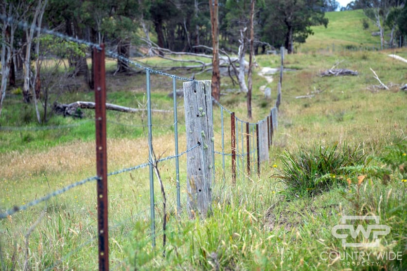 Click to view all images 1, - Watsons Road Pinkett NSW 2370 - Image 2