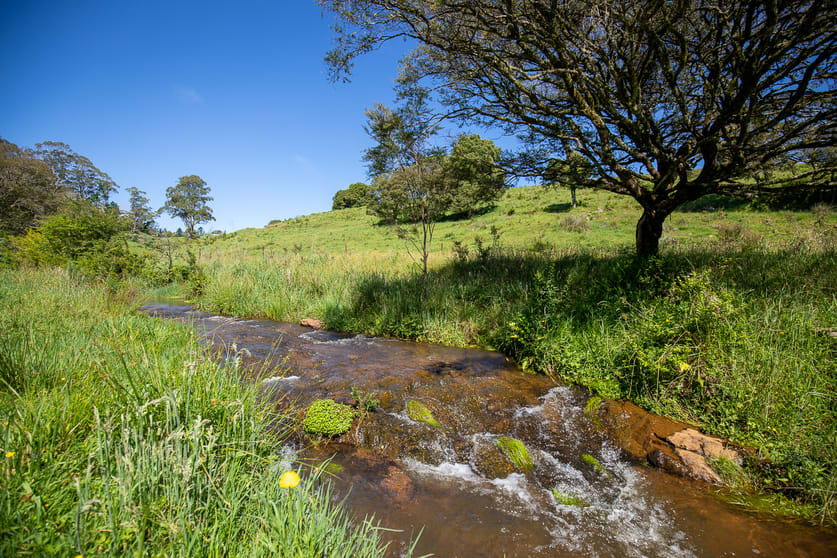 Click to view all images 5458 Waterfall Way Fernbrook NSW 2453 - Image 3