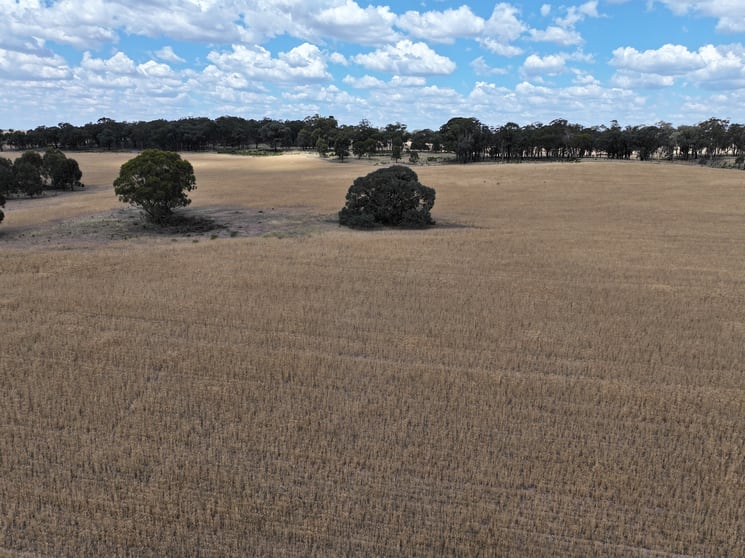 Click to view all images 'Quondi', Dirnaseer Road Combaning NSW 2666 - Image 2
