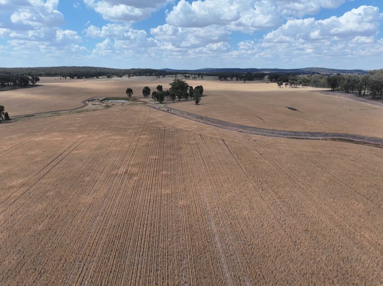 Click to view all images 'Quondi', Dirnaseer Road Combaning NSW 2666 - Image 3