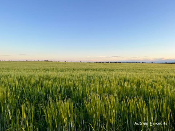 Click to view all images . McCarthy Road Bruce Rock WA 6418 - Image 2